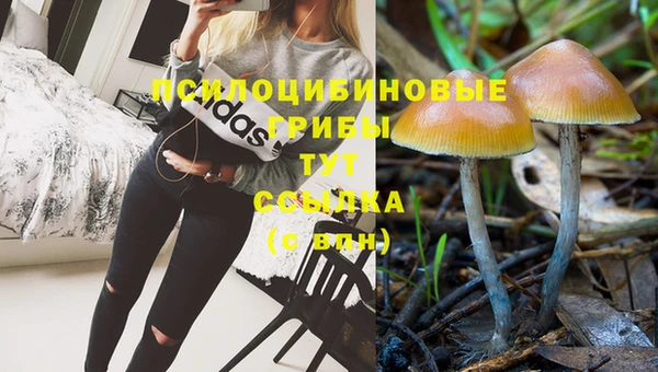 МДМА Бородино